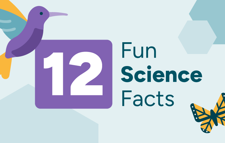 12 fun science facts hummingbird and butterfly