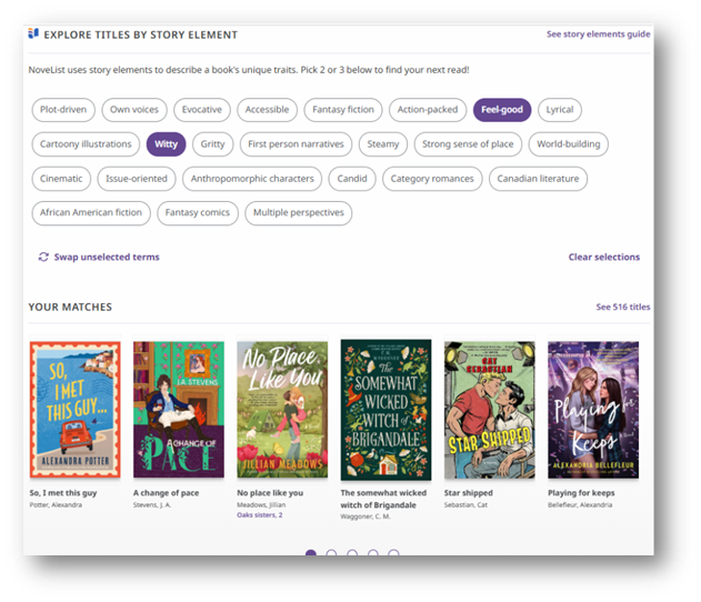 Screenshot of the story elements tool in NoveList Plus