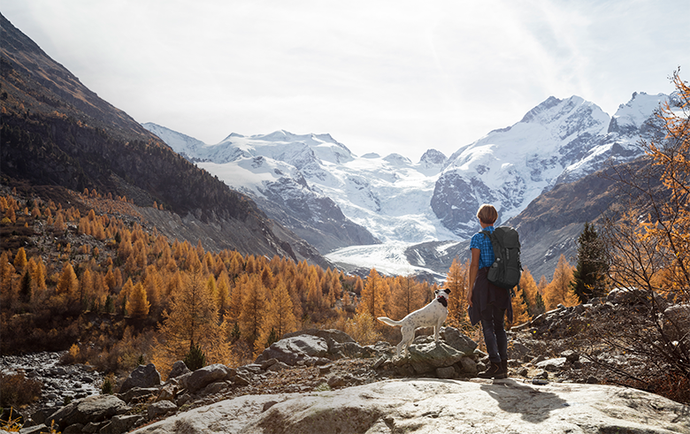 Male and dog looking out on a panoramic view of mountains and trees