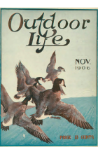 Outdoor Life Magazine Archive