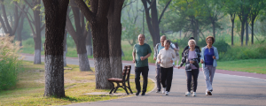 seniors walking in the park