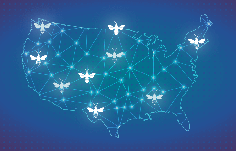illustration of USA map with glowing bees on several locations on map