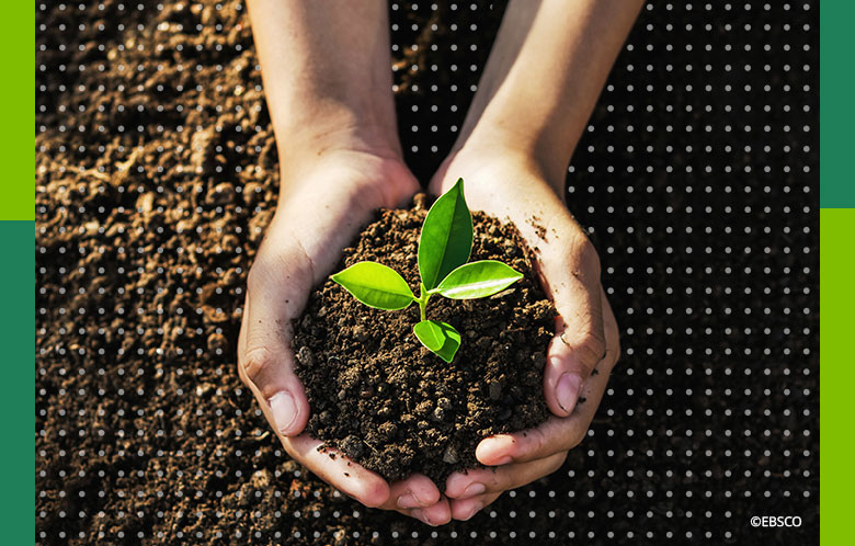 Image of a person's hands pulling dirt from the ground with a plant sprouting in the center