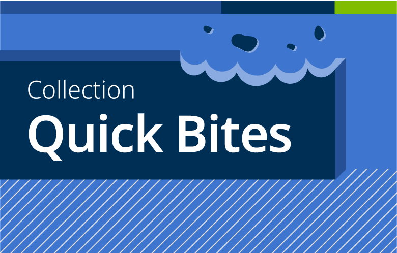 collection quick bites